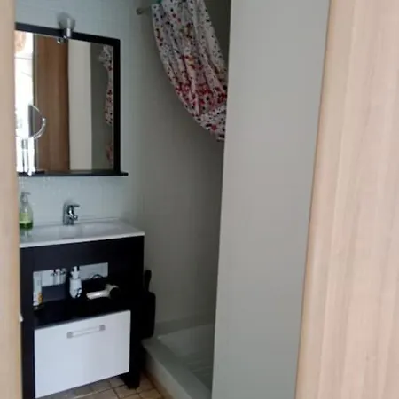 아파트 T2 Climatise Avec Jardin Privatif Et Stationnement