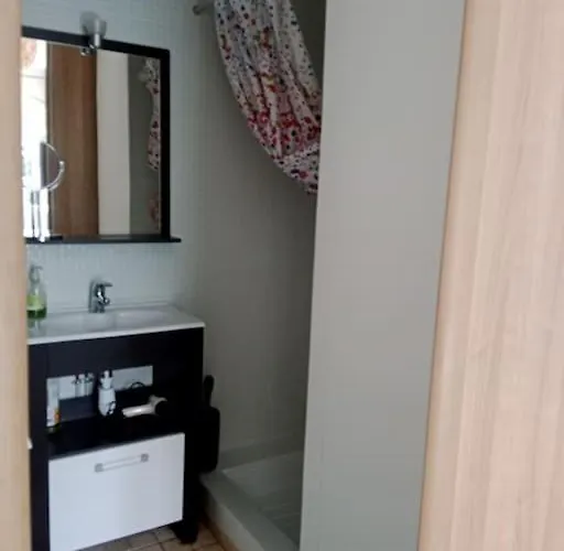 Apartamento T2 Climatise Avec Jardin Privatif Et Stationnement